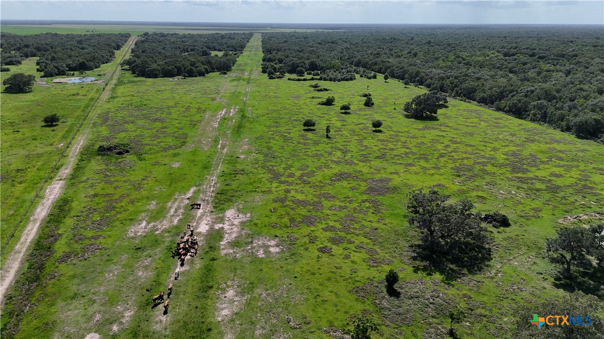 10772 State Highway 111 Property Photo 10