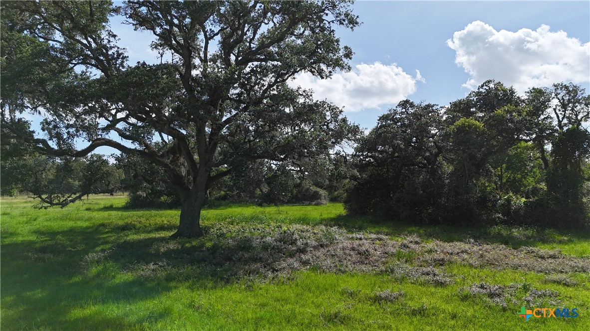 10772 State Highway 111 Property Photo 25