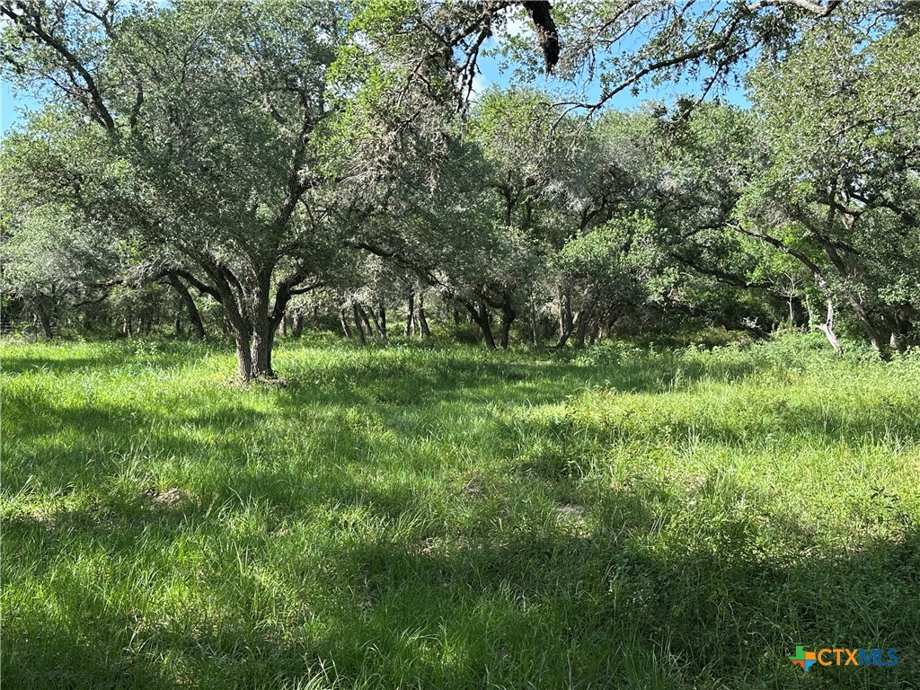 10772 State Highway 111 Property Photo 31