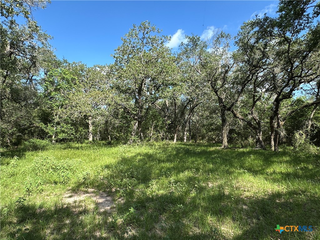 10772 State Highway 111 Property Photo 32