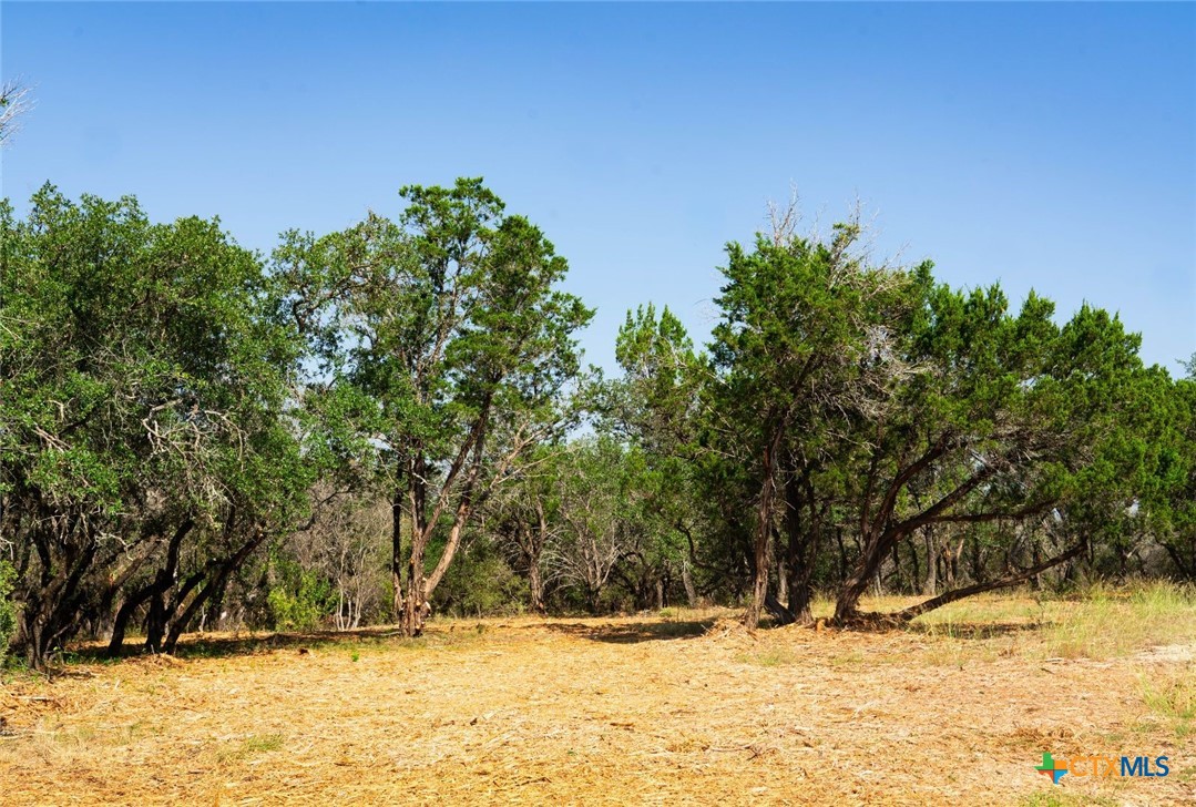 0000 Old Ferry Road Property Photo 19