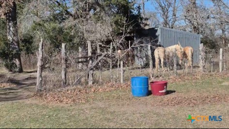 2699 County Rd 258 Property Photo 4