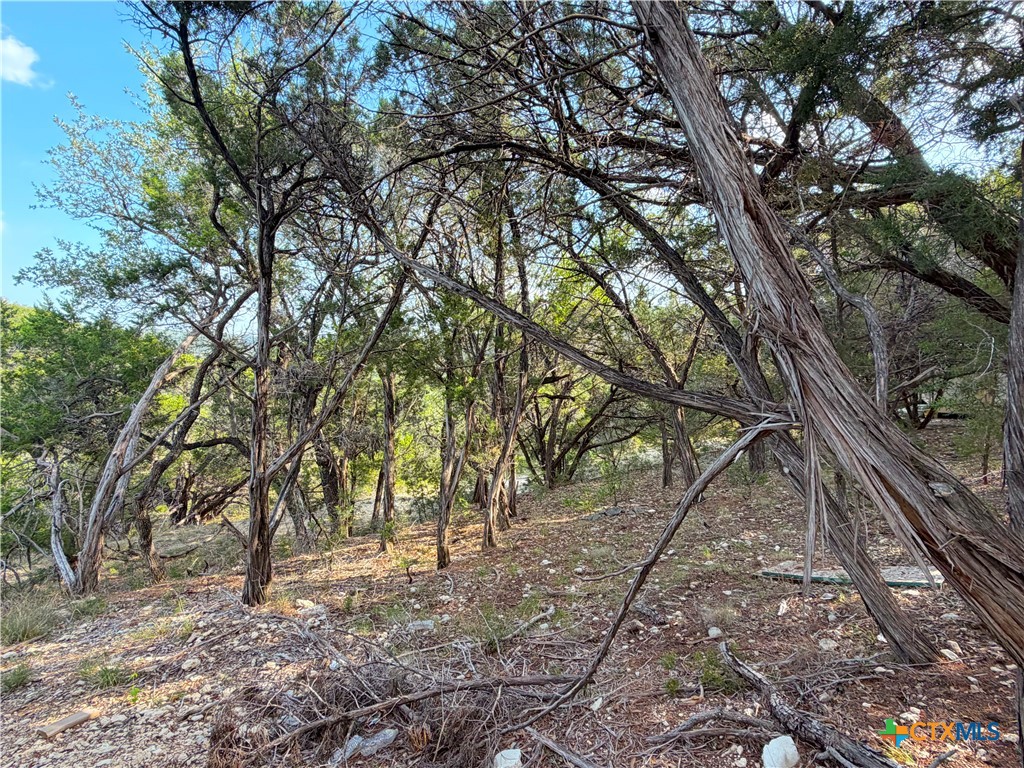 1362 Rockmoor Property Photo 23
