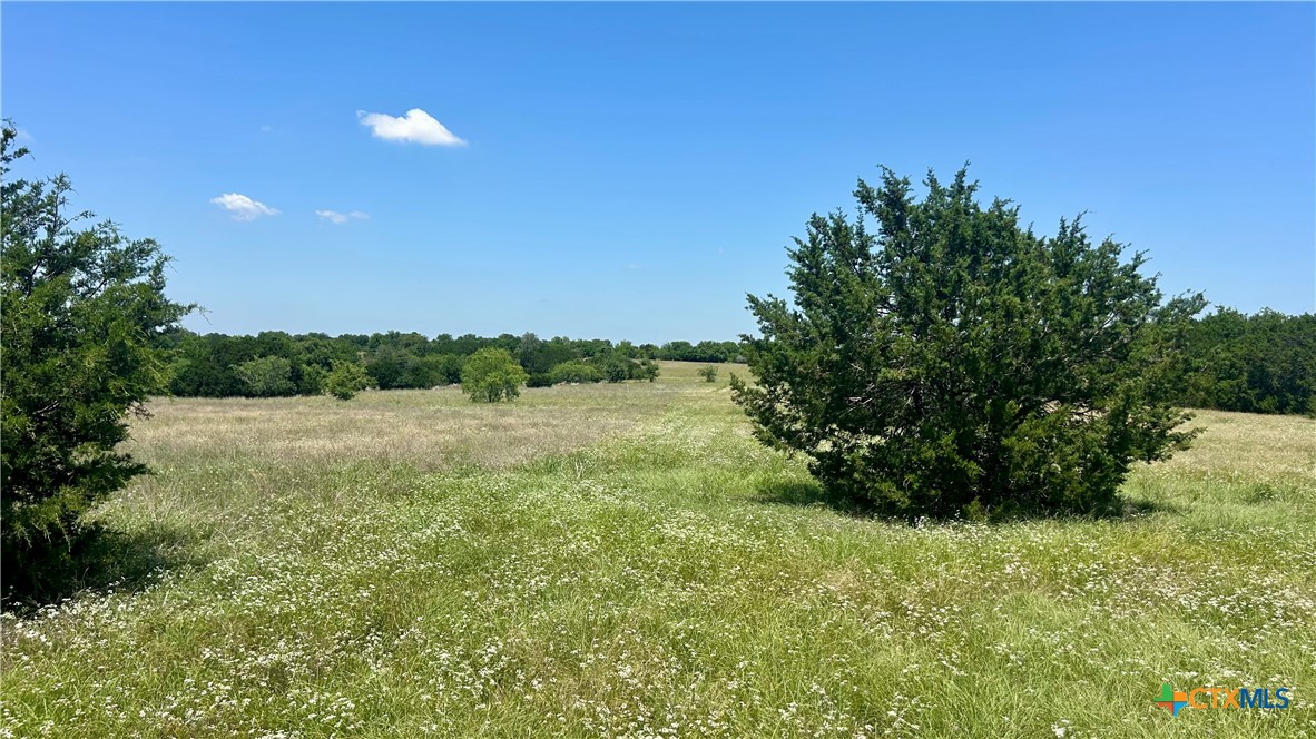 300 County Road 340 Property Photo 11