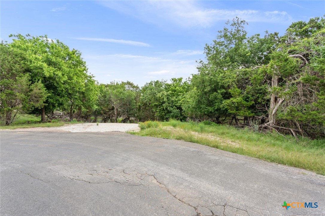 16361 Charlya Drive Property Photo 2