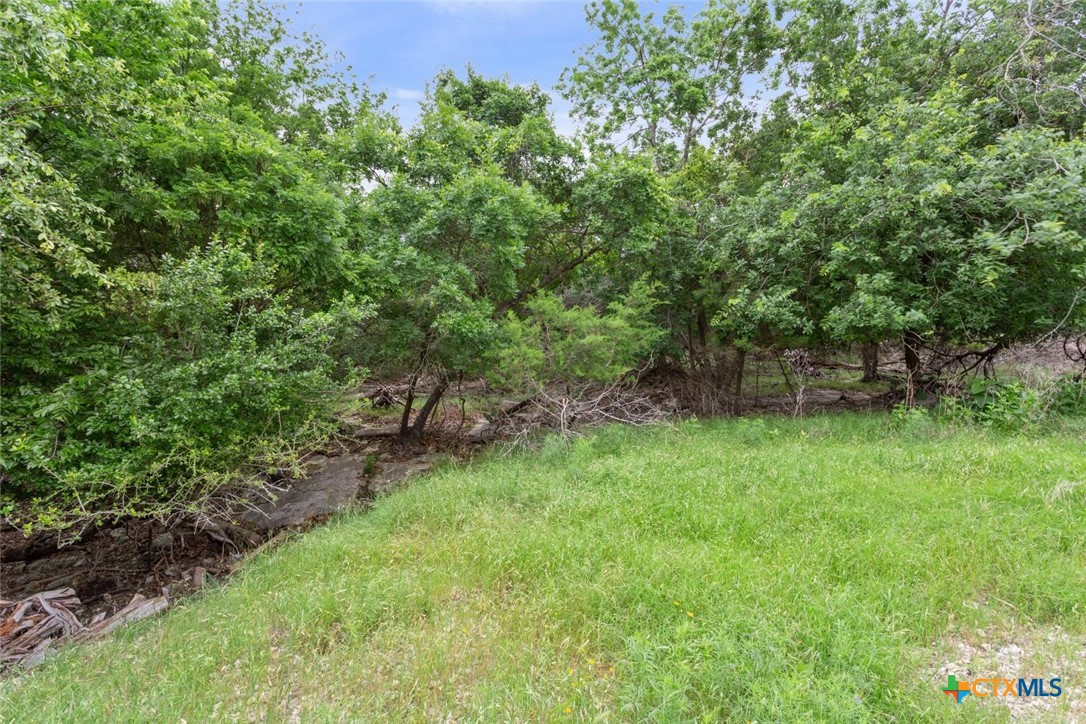16361 Charlya Drive Property Photo 3