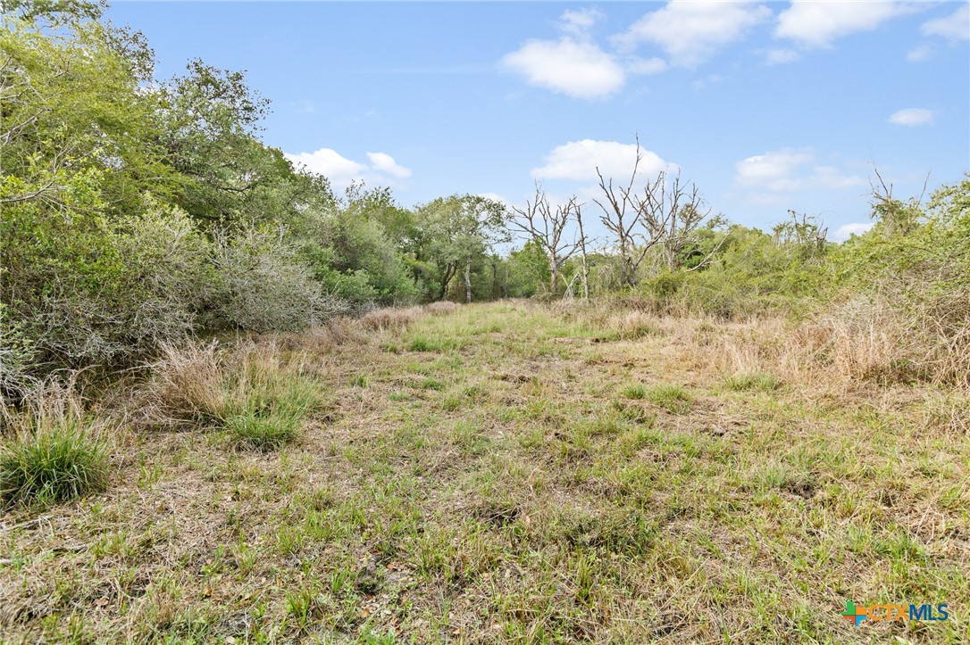 Tract 5 Fm 530 Property Photo 3