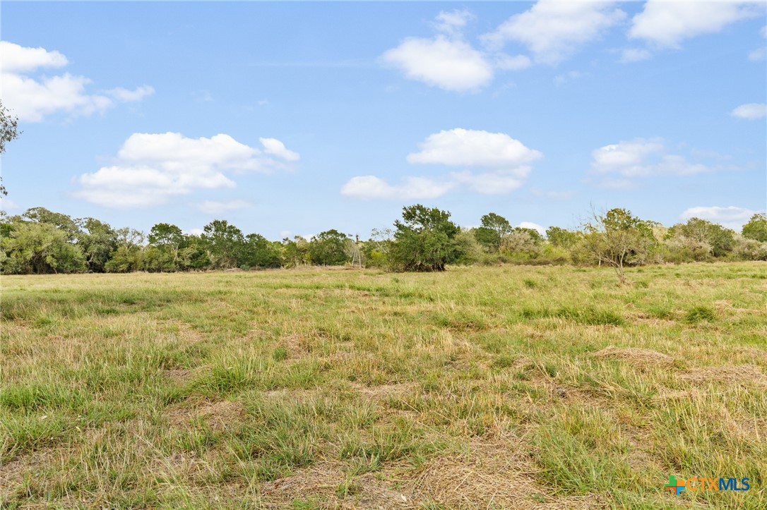Tract 5 Fm 530 Property Photo 6