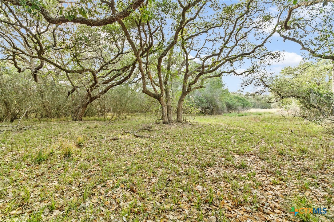 Tract 5 Fm 530 Property Photo 8