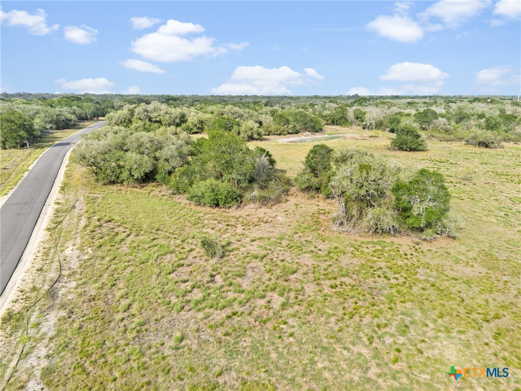 Tract 5 Fm 530 Property Photo 15