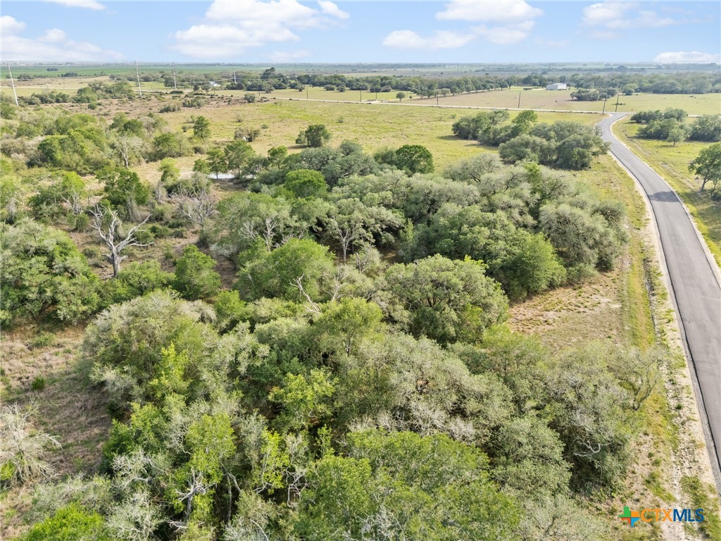 Tract 5 Fm 530 Property Photo 17