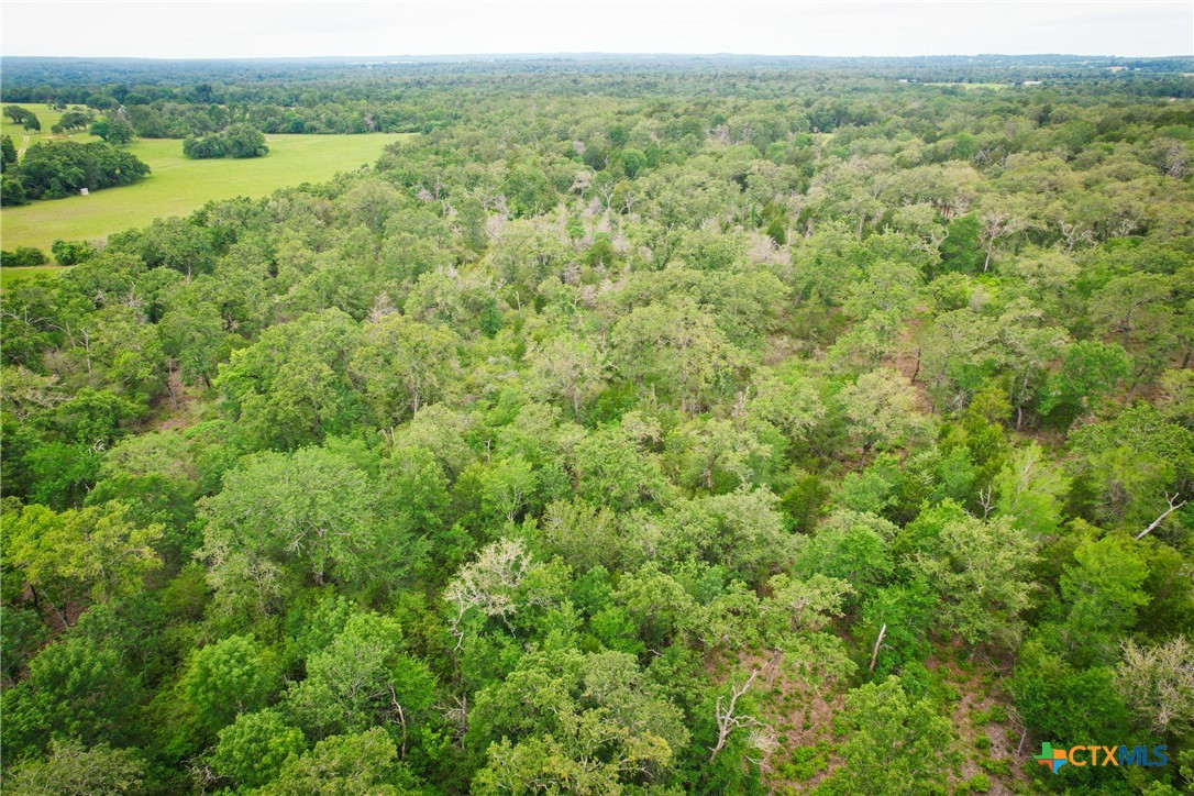 06 Ranches At Meadow Park Property Photo 6