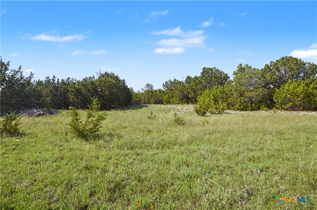 179 E County Road 318 Property Photo 22
