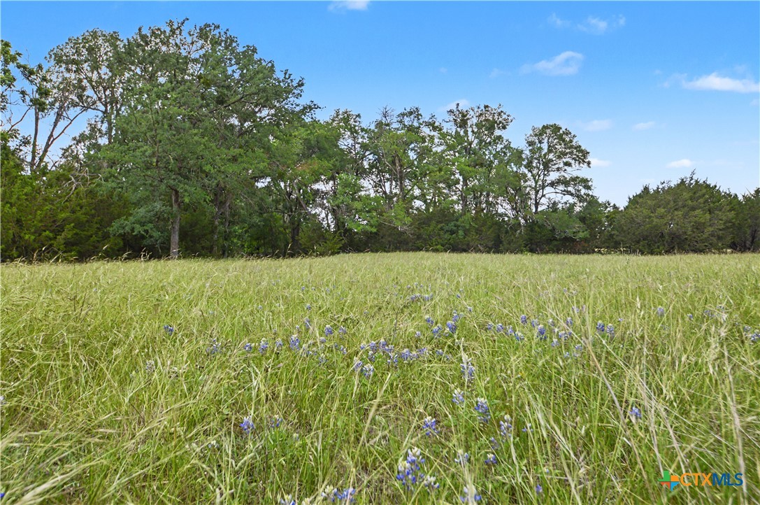 179 E County Road 318 Property Photo 42
