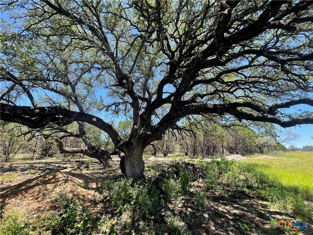 Lot 65 Estate View Circle Property Photo 9