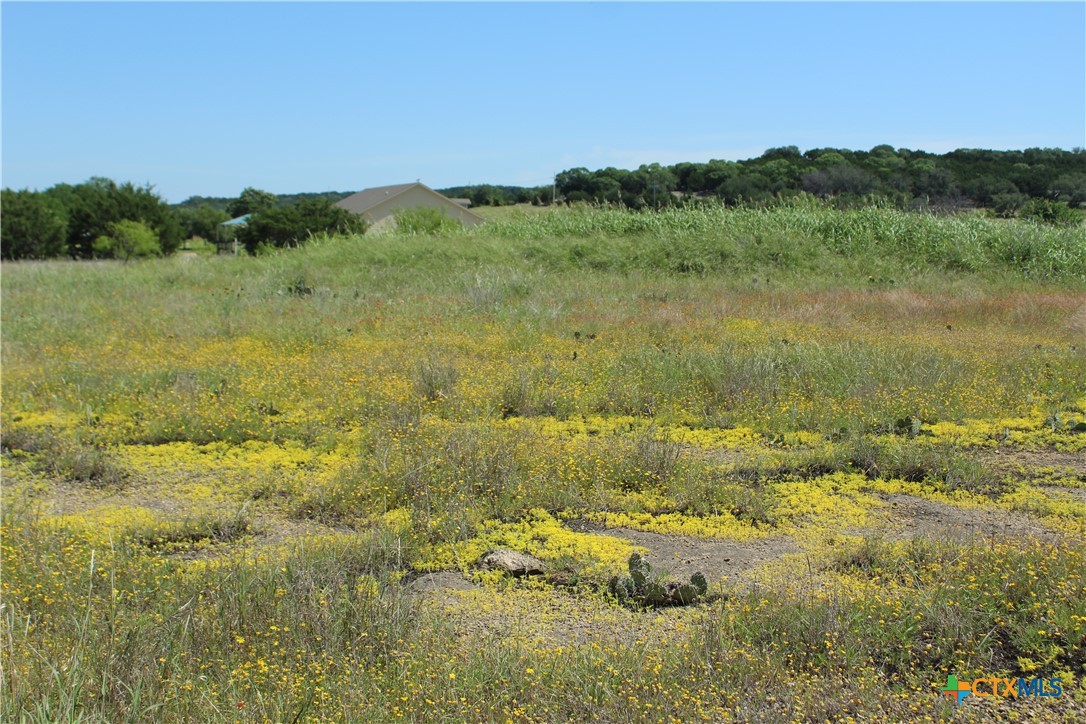 Tbd N Hwy 36 Bypass Property Photo 17