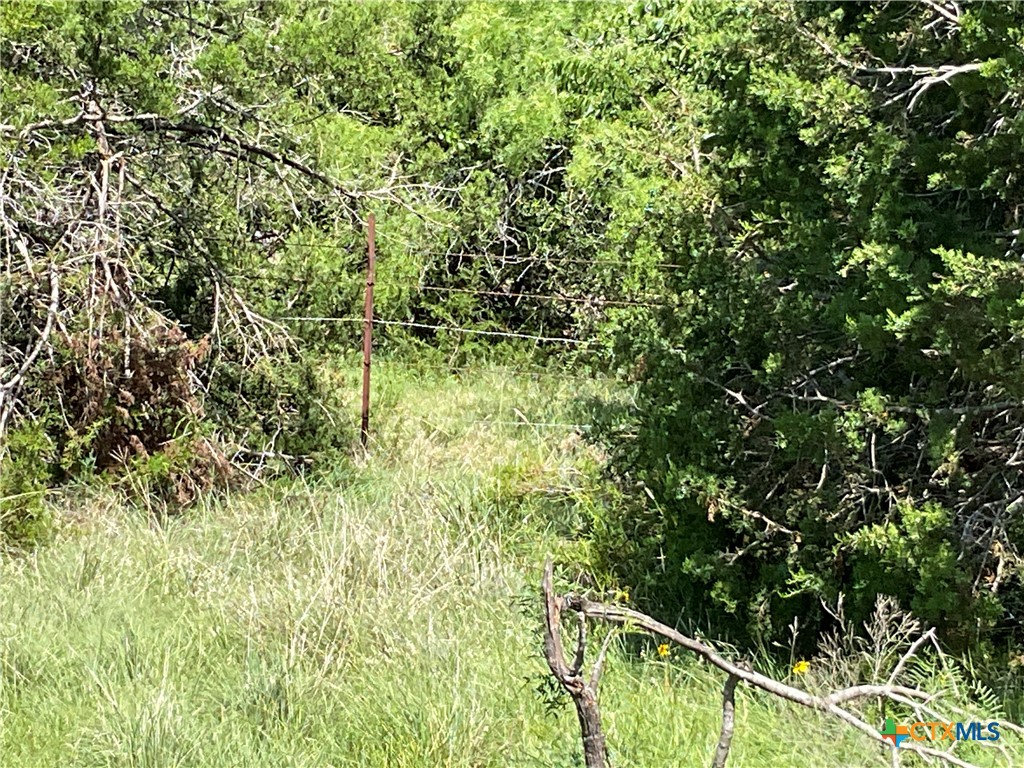 Tbd N Hwy 36 Bypass Property Photo 35