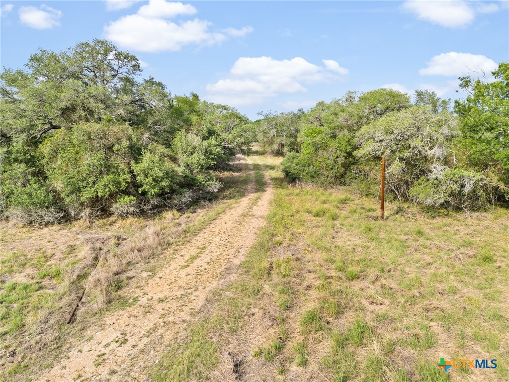 Tract 6 Fm 530 Property Photo 3