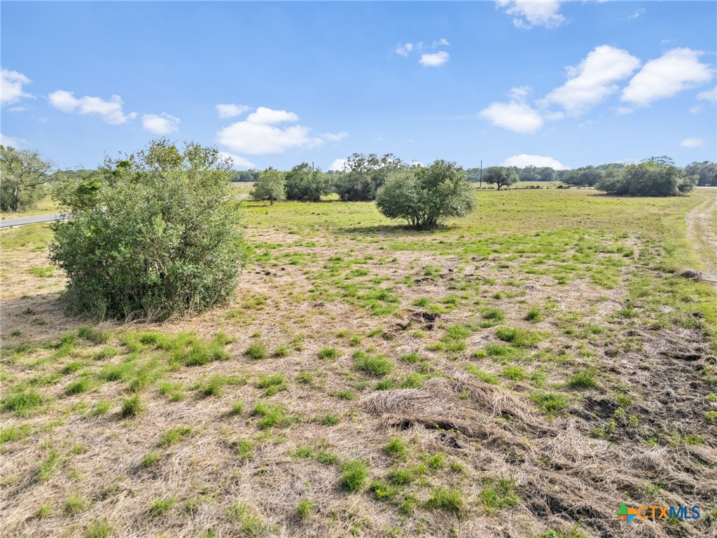 Tract 6 Fm 530 Property Photo 7