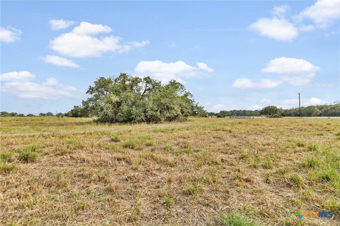 Tract 6 Fm 530 Property Photo 15