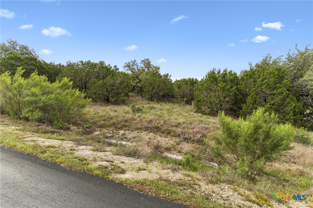293 River Cliff Place Property Photo 9