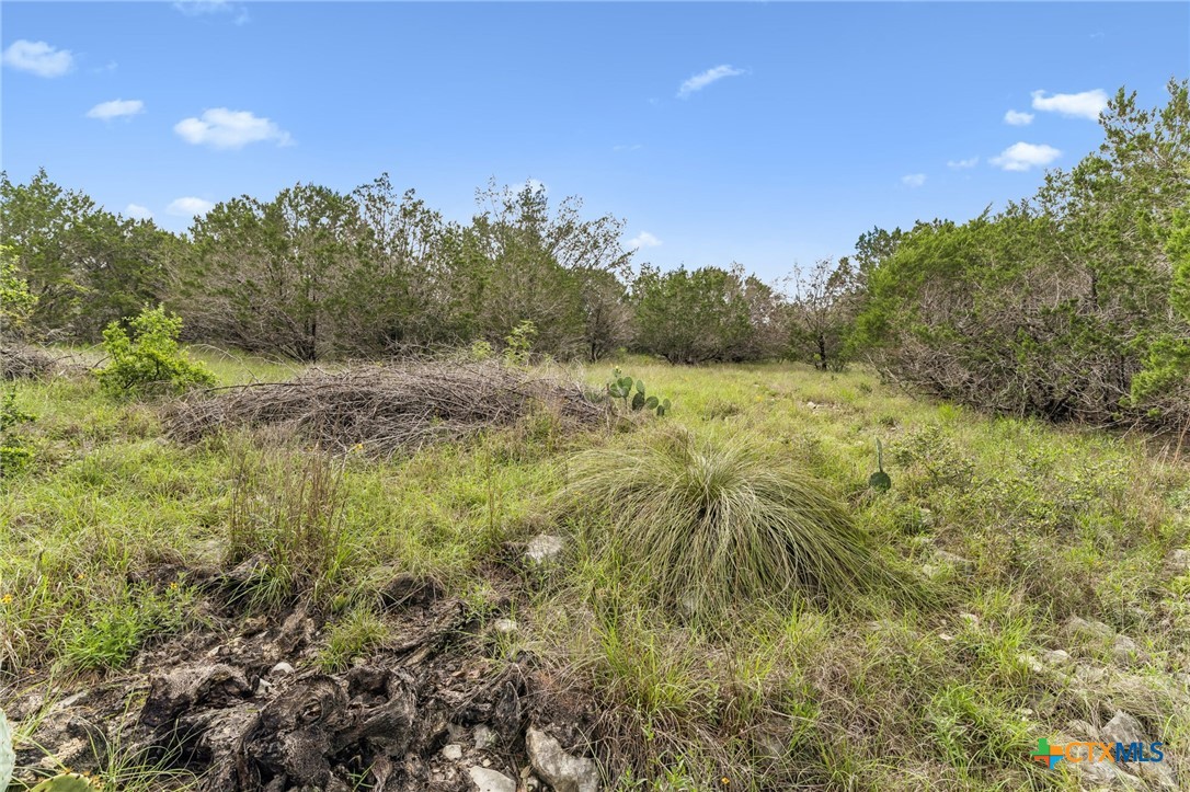 293 River Cliff Place Property Photo 10
