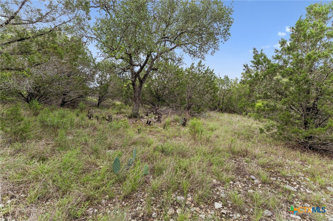 293 River Cliff Place Property Photo 11