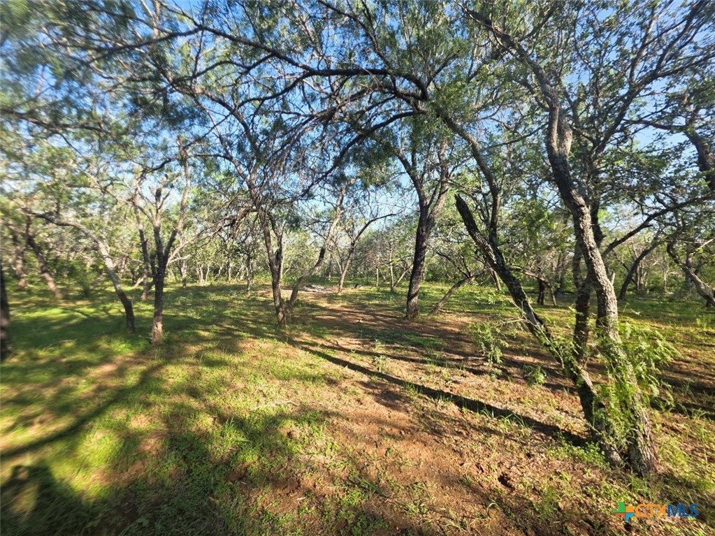766 Rawhide Road Property Photo 7