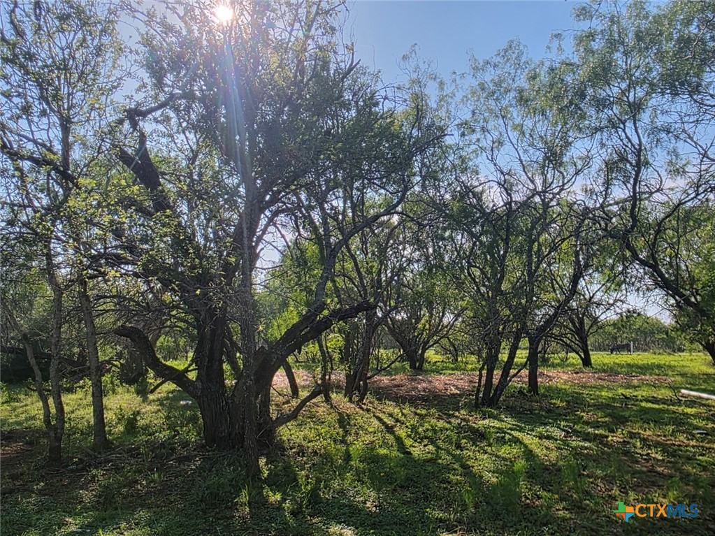 766 Rawhide Road Property Photo 8