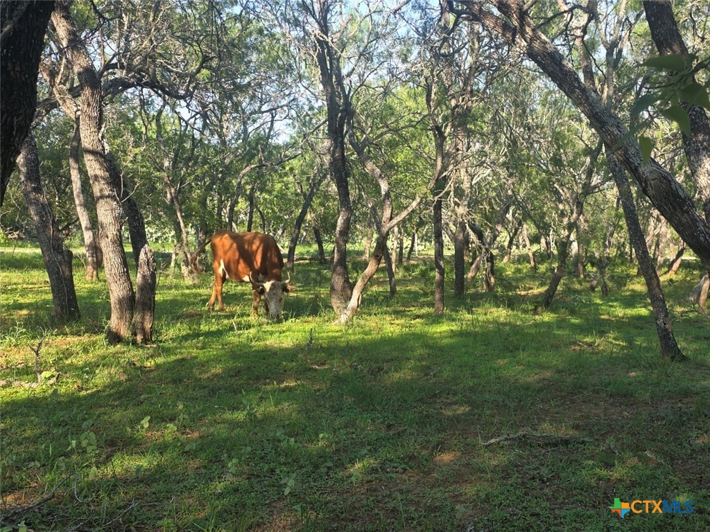 766 Rawhide Road Property Photo 10