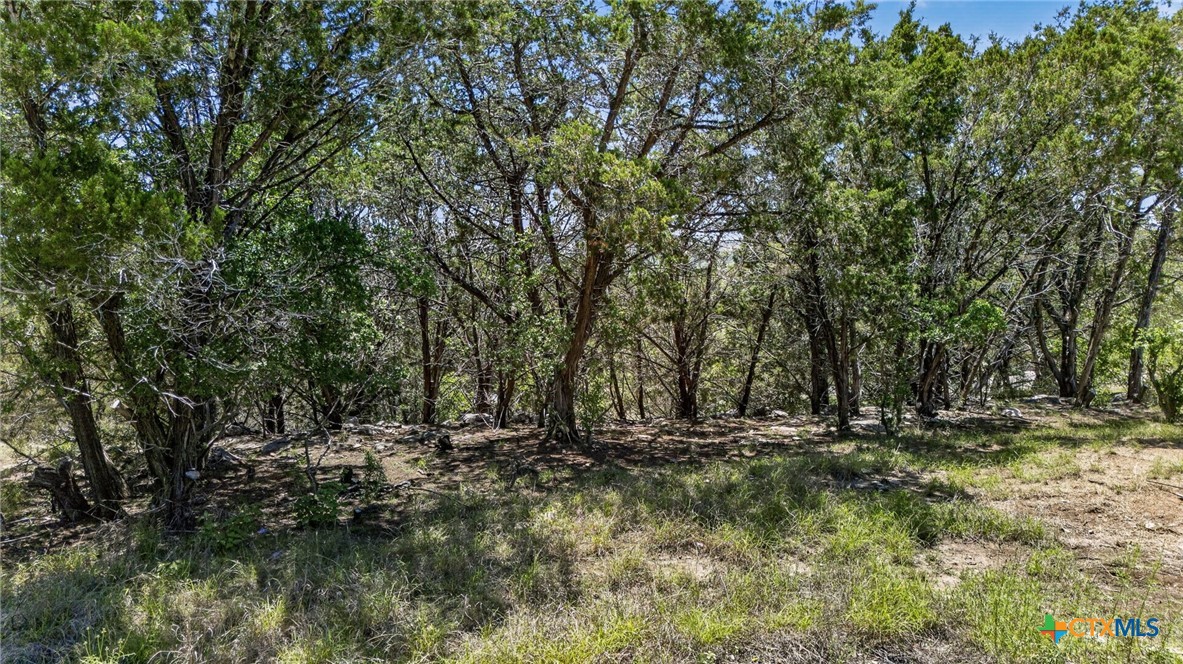 600 Lorne Road Property Photo 1