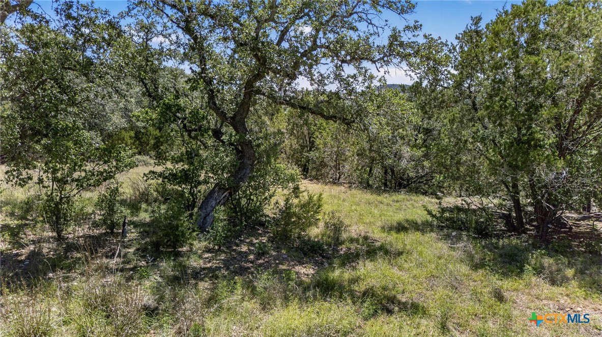 600 Lorne Road Property Photo 2
