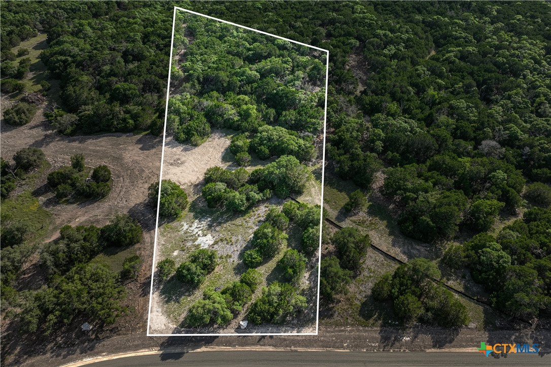 Tbd Lot 24 Hank Williams Way Property Photo 1