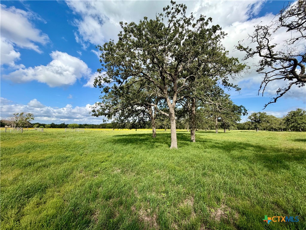 15631 Fm 682 - Tract B Property Photo 6