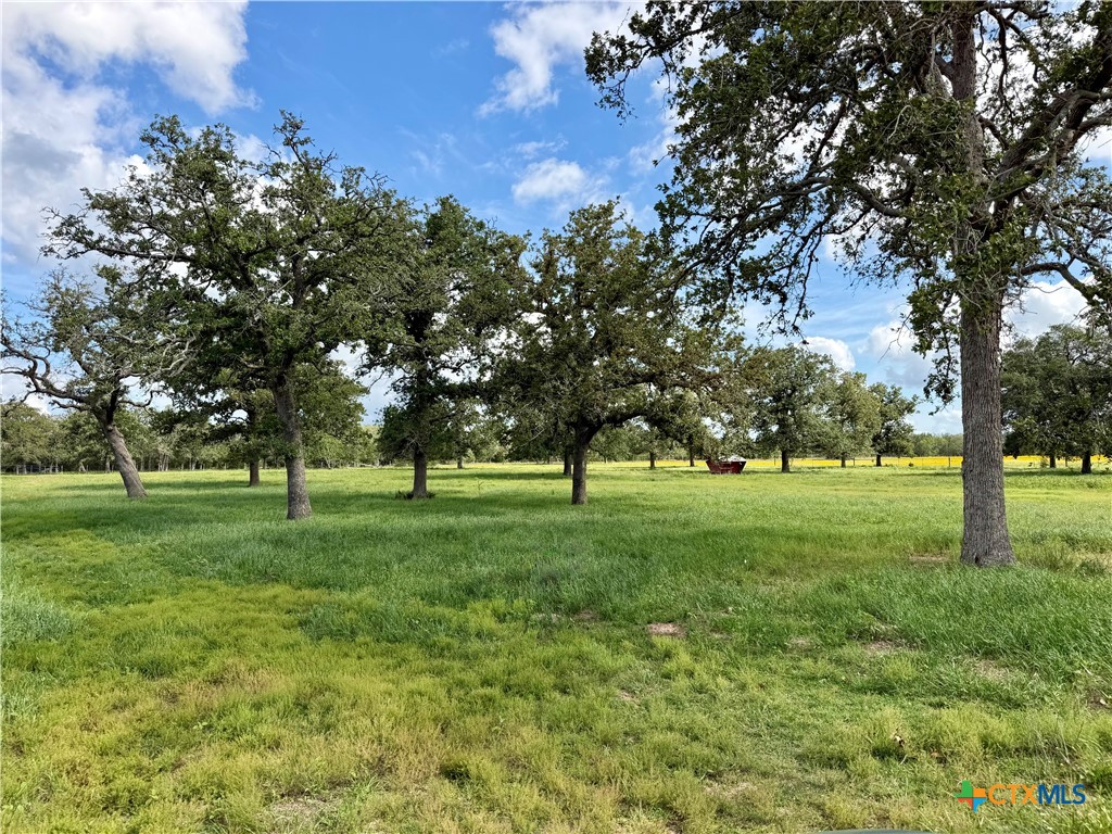 15631 Fm 682 - Tract B Property Photo 8