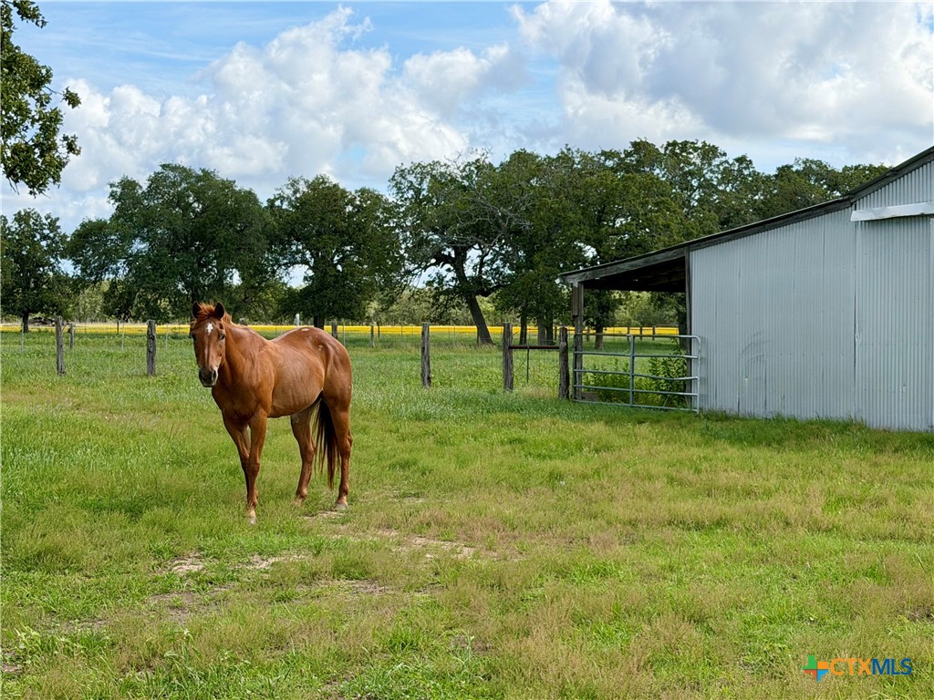 15631 Fm 682 - Tract G Property Photo 4