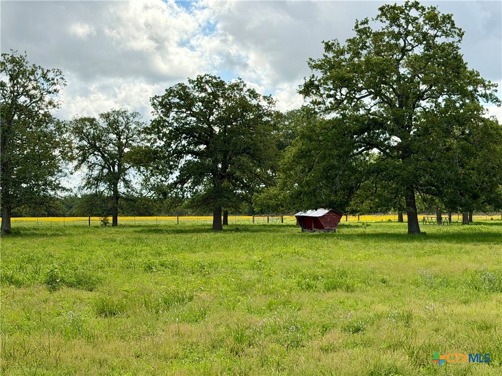 15631 Fm 682 - Tract G Property Photo 7