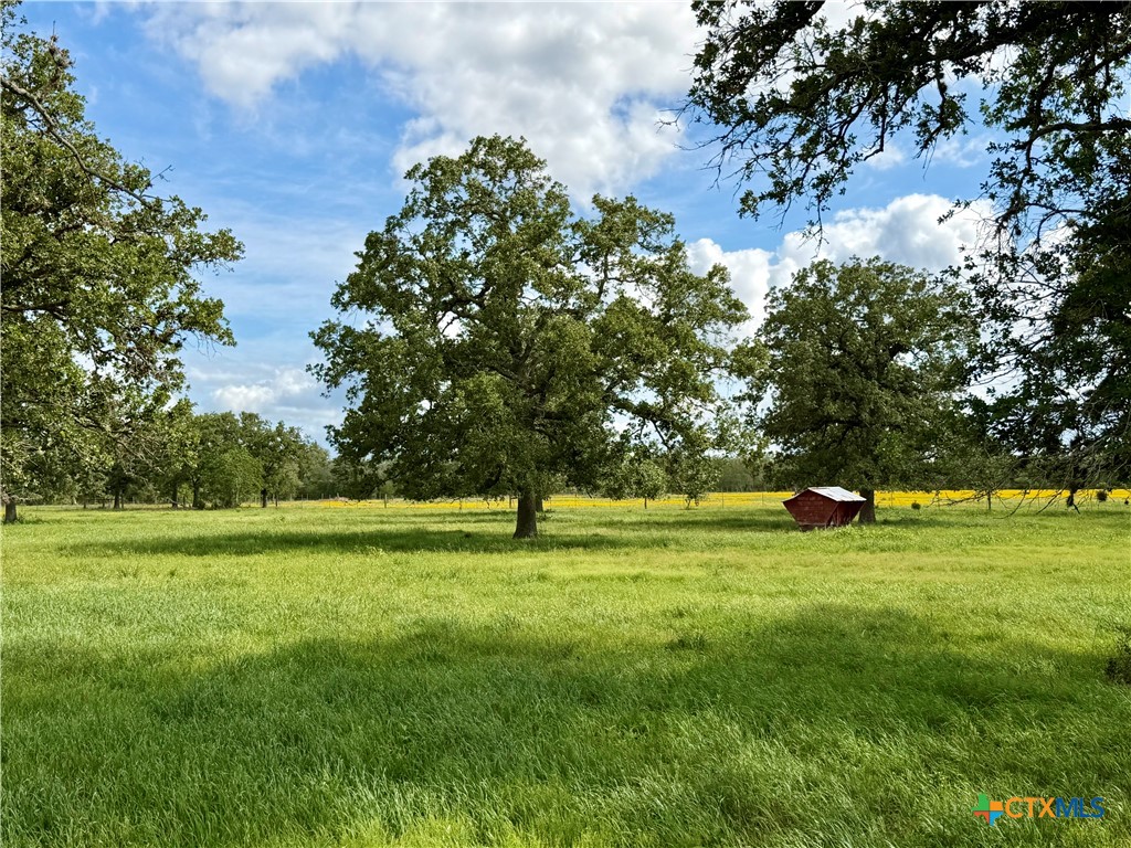 15631 Fm 682 - Tract G Property Photo 8