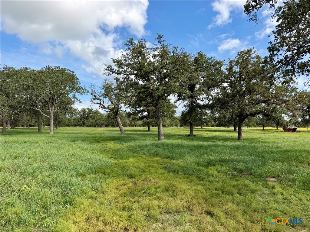 15631 Fm 682 - Tract G Property Photo 9