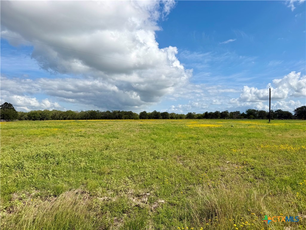 15631 Fm 682 - Tract G Property Photo 11