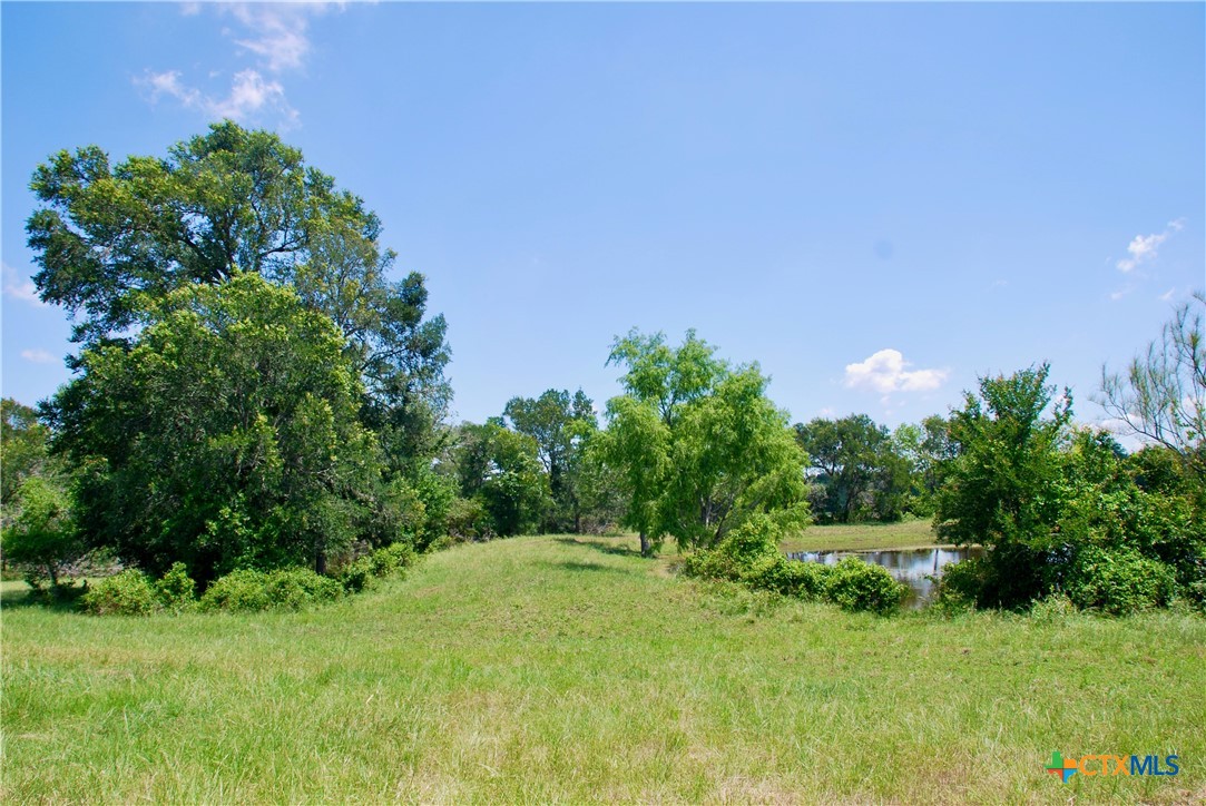 3703 Muehr Road Property Photo 6