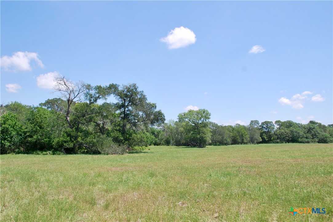 3703 Muehr Road Property Photo 7