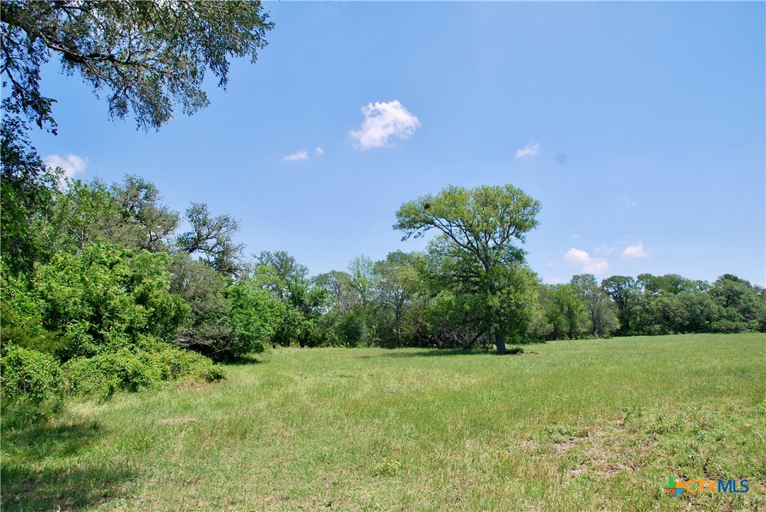 3703 Muehr Road Property Photo 10