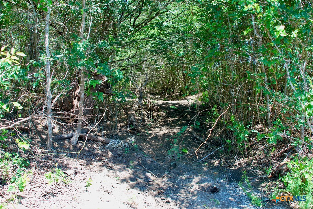 3703 Muehr Road Property Photo 11