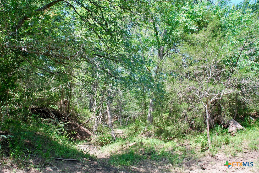 3703 Muehr Road Property Photo 14