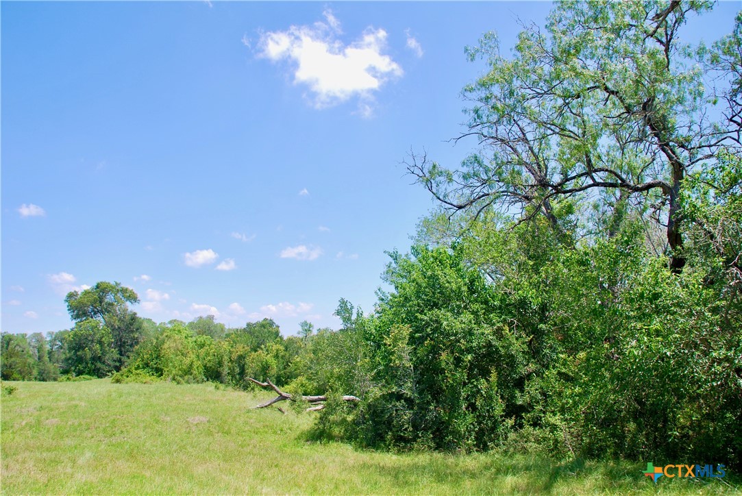 3703 Muehr Road Property Photo 16