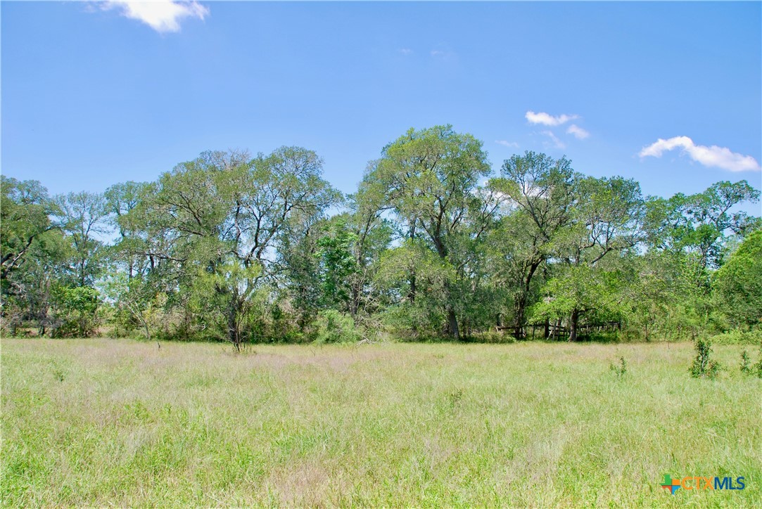 3703 Muehr Road Property Photo 17