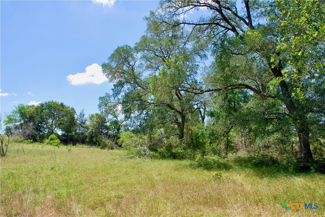 3703 Muehr Road Property Photo 18