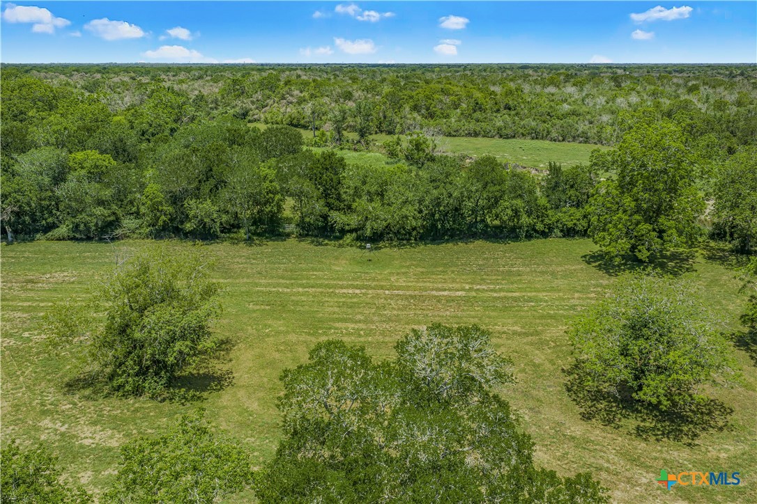 4516 Fm 1090 Property Photo 26