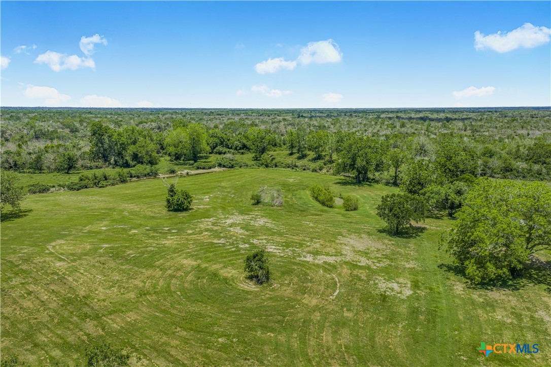 4516 Fm 1090 Property Photo 32